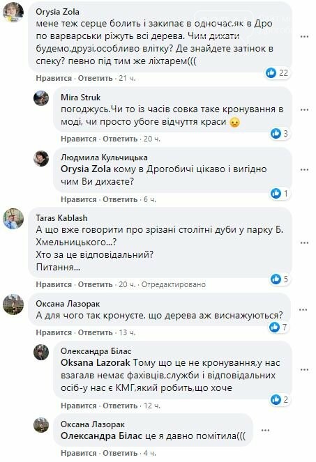 Замість зрізаних дерев посадять нові: Як виглядатиме Шолом-..., фото-2 Замість зрізаних дерев посадять нові: Як виглядатиме Шолом-Алейхема після ремонту, фото-2