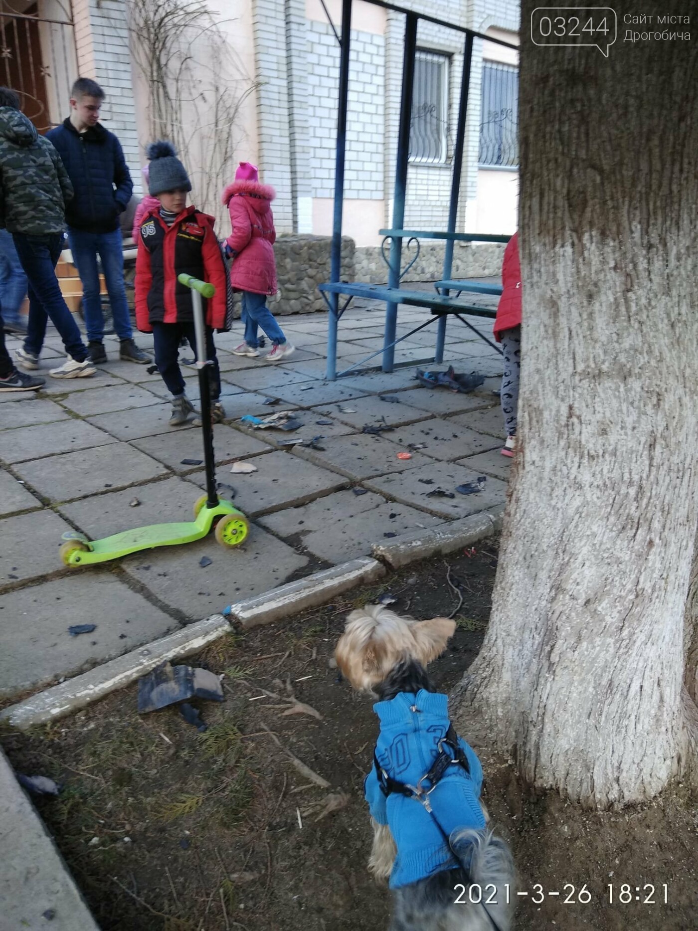 Фото Лілії Мацькович Фото Лілії Мацькович