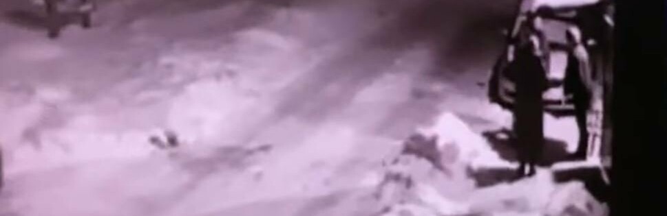 Скрін з відео Скрін з відео