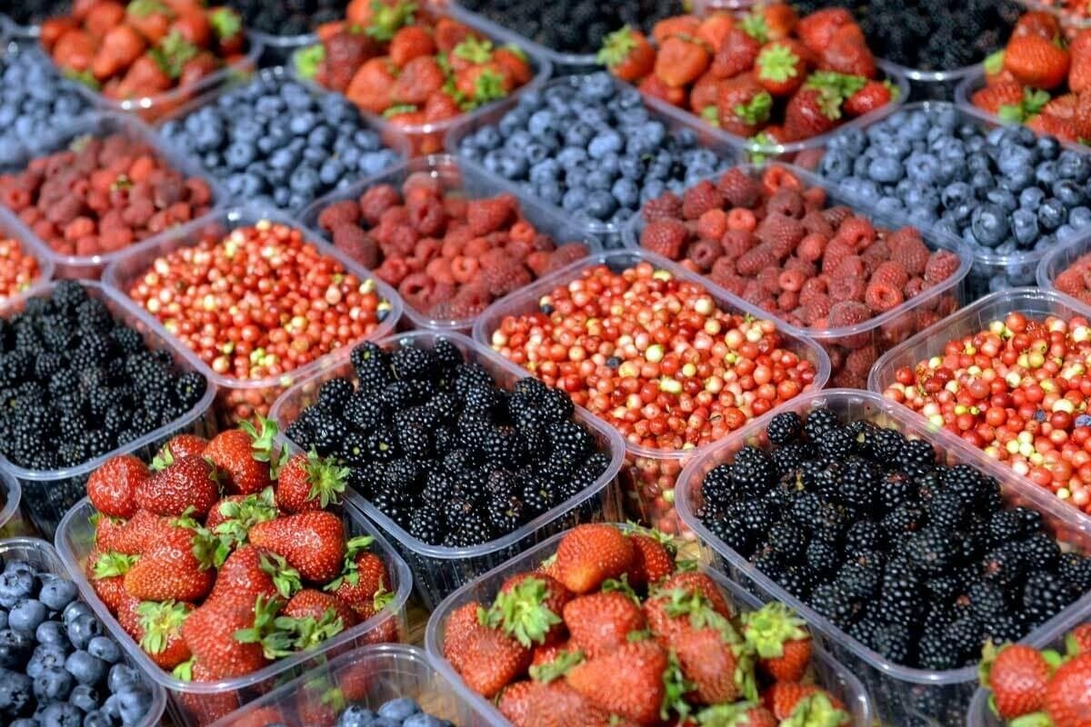 Сезонна упаковка Сезонна упаковка